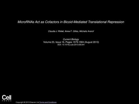MicroRNAs Act as Cofactors in Bicoid-Mediated Translational Repression