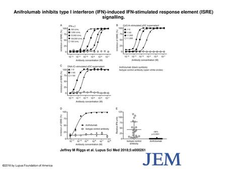Anifrolumab inhibits type I interferon (IFN)-induced IFN-stimulated response element (ISRE) signalling. Anifrolumab inhibits type I interferon (IFN)-induced.