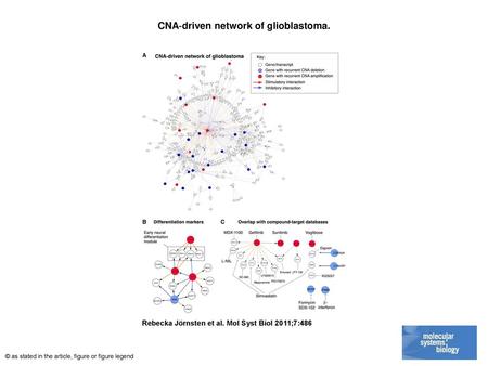 CNA‐driven network of glioblastoma.