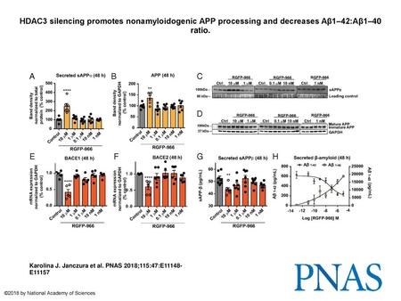 HDAC3 silencing promotes nonamyloidogenic APP processing and decreases Aβ1–42:Aβ1–40 ratio. HDAC3 silencing promotes nonamyloidogenic APP processing and.