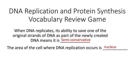 DNA Replication and Protein Synthesis Vocabulary Review Game