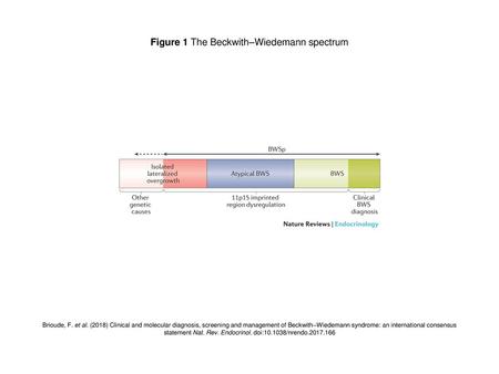 Figure 1 The Beckwith–Wiedemann spectrum