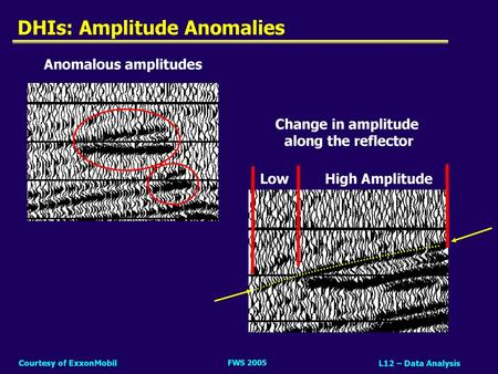 DHIs: Amplitude Anomalies