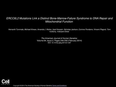 ERCC6L2 Mutations Link a Distinct Bone-Marrow-Failure Syndrome to DNA Repair and Mitochondrial Function  Hemanth Tummala, Michael Kirwan, Amanda J. Walne,