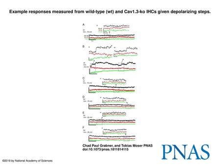 Example responses measured from wild-type (wt) and Cav1