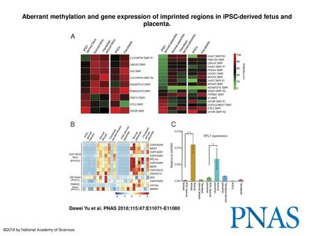Aberrant methylation and gene expression of imprinted regions in iPSC-derived fetus and placenta. Aberrant methylation and gene expression of imprinted.
