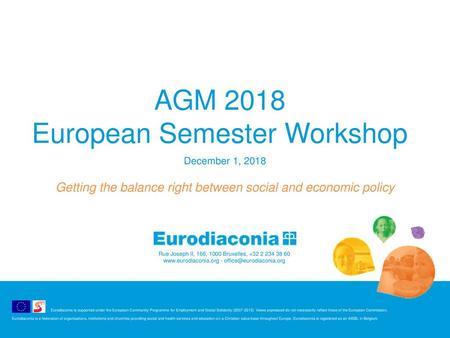 AGM 2018 European Semester Workshop