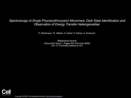 Spectroscopy of Single Phycoerythrocyanin Monomers: Dark State Identification and Observation of Energy Transfer Heterogeneities  P. Zehetmayer, Th. Hellerer,