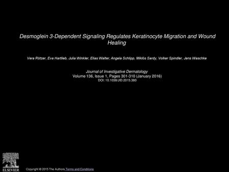 Desmoglein 3-Dependent Signaling Regulates Keratinocyte Migration and Wound Healing  Vera Rötzer, Eva Hartlieb, Julia Winkler, Elias Walter, Angela Schlipp,
