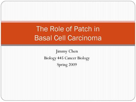 The Role of Patch in Basal Cell Carcinoma