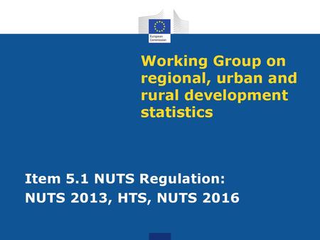Working Group on regional, urban and rural development statistics