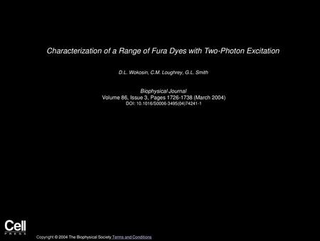 Characterization of a Range of Fura Dyes with Two-Photon Excitation