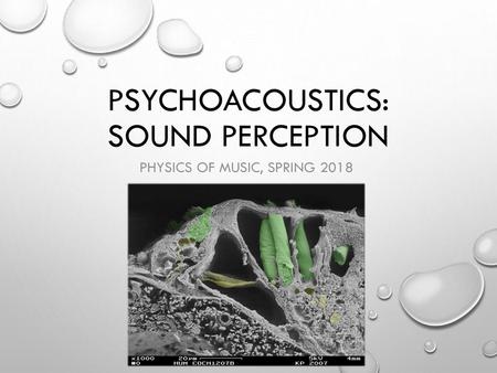 Psychoacoustics: Sound Perception