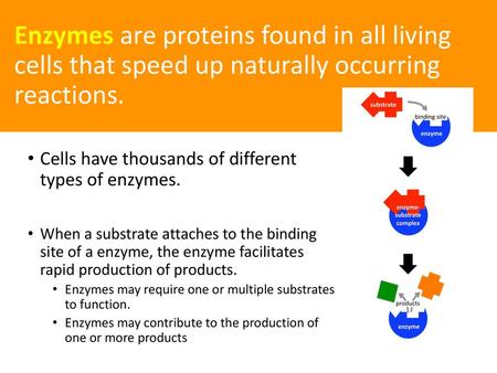 Cells have thousands of different  types of enzymes.
