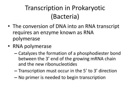Transcription in Prokaryotic (Bacteria)