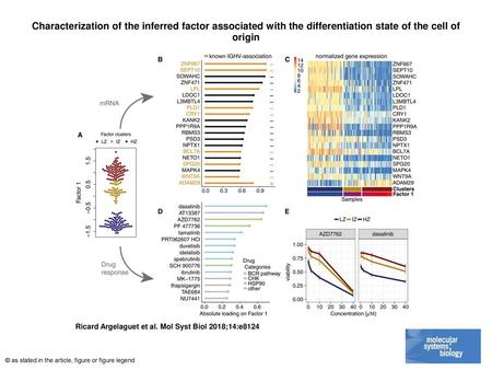 Characterization of the inferred factor associated with the differentiation state of the cell of origin Characterization of the inferred factor associated.