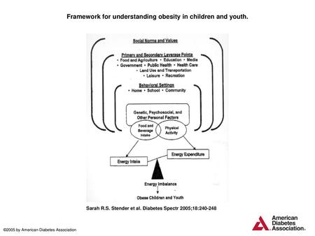 Framework for understanding obesity in children and youth.