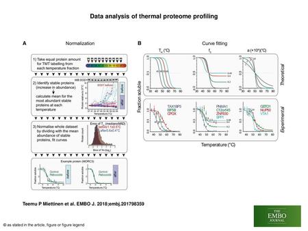 Data analysis of thermal proteome profiling