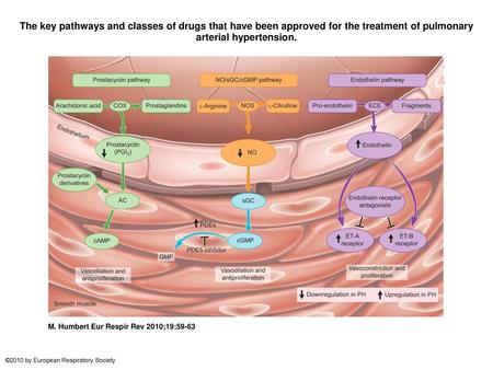 The key pathways and classes of drugs that have been approved for the treatment of pulmonary arterial hypertension. The key pathways and classes of drugs.
