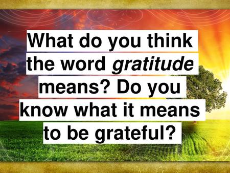 What do you think the word gratitude means