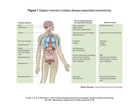 Figure 1 Organs involved in coeliac-disease-associated autoimmunity