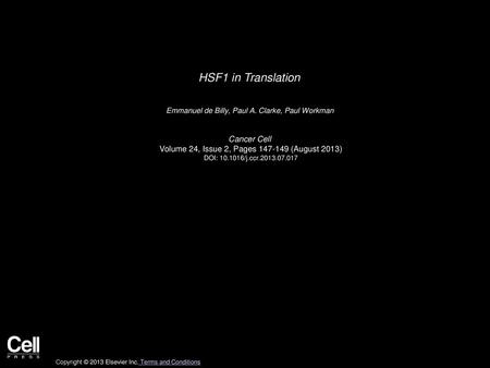 HSF1 in Translation Cancer Cell