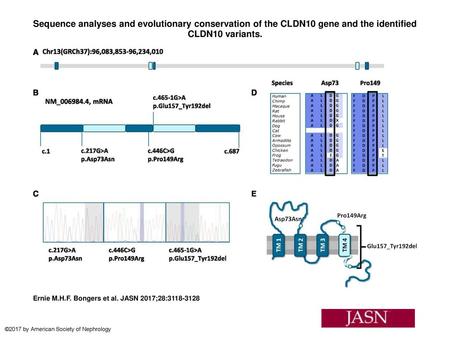 Sequence analyses and evolutionary conservation of the CLDN10 gene and the identified CLDN10 variants. Sequence analyses and evolutionary conservation.