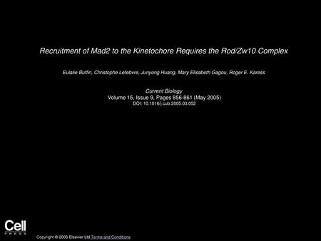 Recruitment of Mad2 to the Kinetochore Requires the Rod/Zw10 Complex