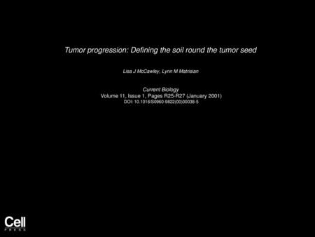 Tumor progression: Defining the soil round the tumor seed