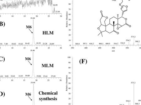 (A) (E) (B) (C) (F) (D) Control HLM MLM Chemical synthesis M6