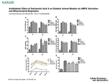 Antidiabetic Effect of Salvianolic Acid A on Diabetic Animal Models via AMPK Activation and Mitochondrial Regulation Cell Physiol Biochem 2015;36:395-408.