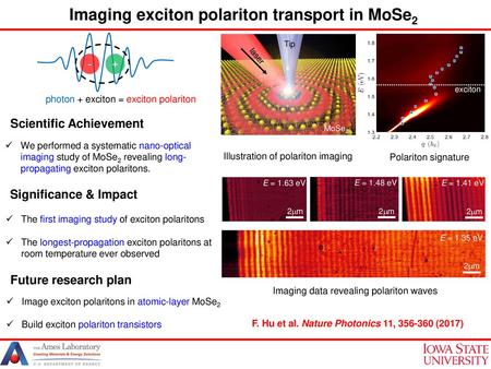 Imaging exciton polariton transport in MoSe2