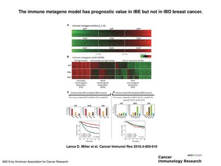 The immune metagene model has prognostic value in IBE but not in IBD breast cancer. The immune metagene model has prognostic value in IBE but not in IBD.