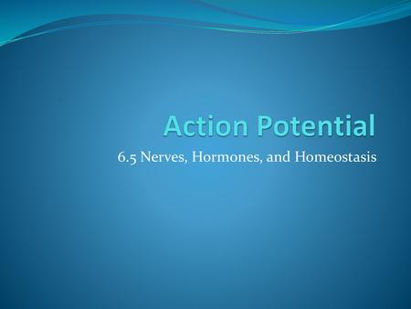 6.5 Nerves, Hormones, and Homeostasis