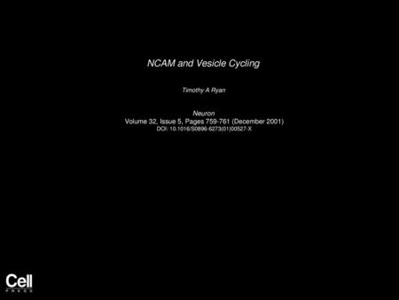 NCAM and Vesicle Cycling