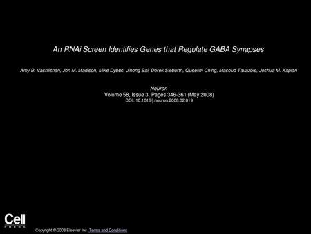 An RNAi Screen Identifies Genes that Regulate GABA Synapses