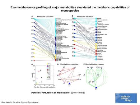 Exo‐metabolomics profiling of major metabolites elucidated the metabolic capabilities of monospecies Exo‐metabolomics profiling of major metabolites elucidated.