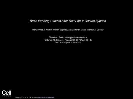 Brain Feeding Circuits after Roux-en-Y Gastric Bypass