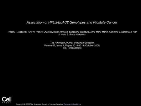 Association of HPC2/ELAC2 Genotypes and Prostate Cancer