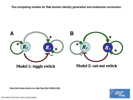 Two competing models for Rab domain identity generation and endosome conversion. Two competing models for Rab domain identity generation and endosome conversion.