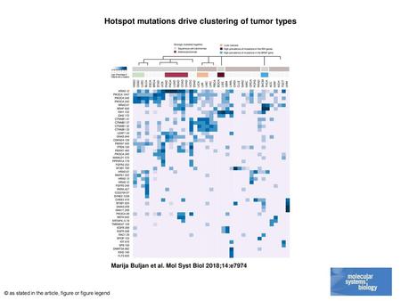 Hotspot mutations drive clustering of tumor types
