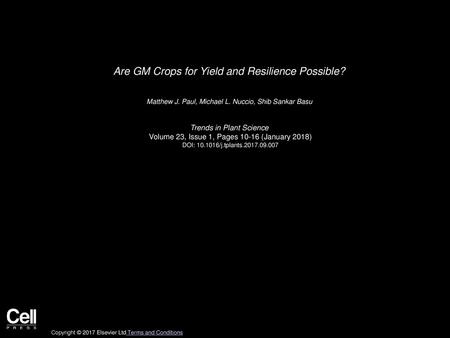 Are GM Crops for Yield and Resilience Possible?