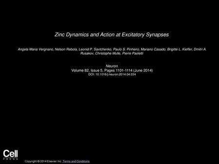 Zinc Dynamics and Action at Excitatory Synapses