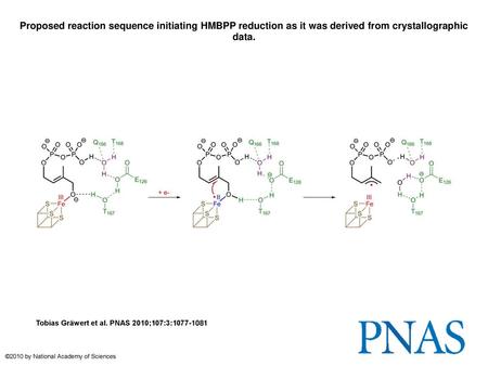 Proposed reaction sequence initiating HMBPP reduction as it was derived from crystallographic data. Proposed reaction sequence initiating HMBPP reduction.
