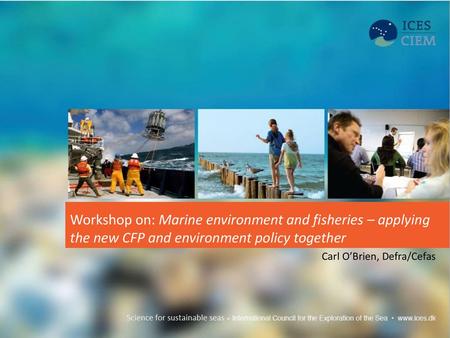 Workshop on: Marine environment and fisheries – applying the new CFP and environment policy together Carl O’Brien, Defra/Cefas.
