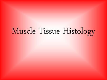 Muscle Tissue Histology