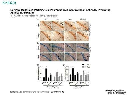 Cerebral Mast Cells Participate In Postoperative Cognitive Dysfunction by Promoting Astrocyte Activation Cell Physiol Biochem 2016;40:104-116 - DOI:10.1159/000452528.