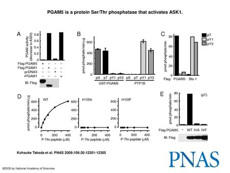 PGAM5 is a protein Ser/Thr phosphatase that activates ASK1.