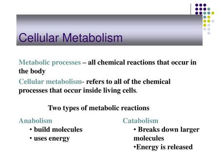 Cellular Metabolism Metabolic processes – all chemical reactions that occur in the body Cellular metabolism- refers to all of the chemical processes that.