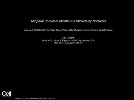 Temporal Control of Metabolic Amplitude by Nocturnin